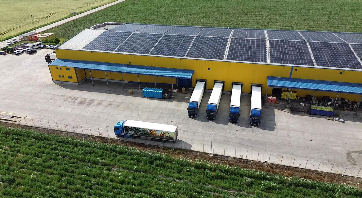 Where Agriculture Meets Technology