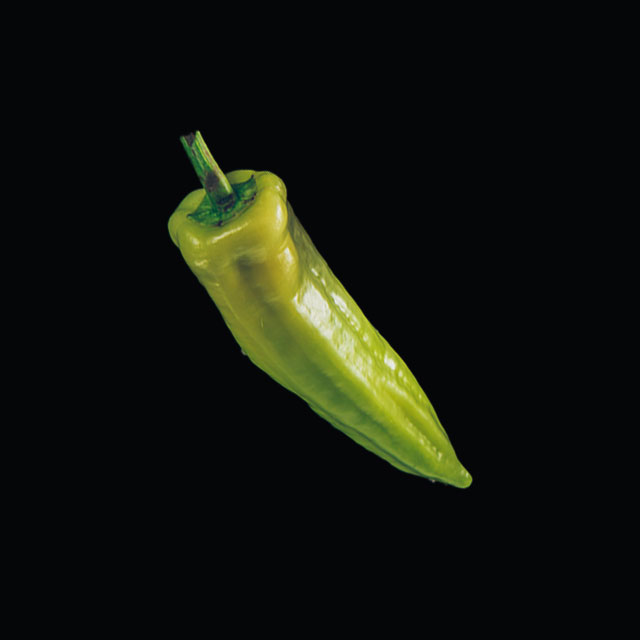 Charleston Pepper