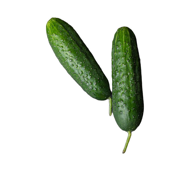 Cornichon